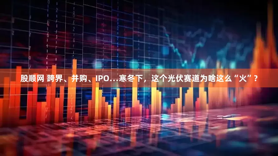 股顺网 跨界、并购、IPO…寒冬下，这个光伏赛道为啥这么“火”？