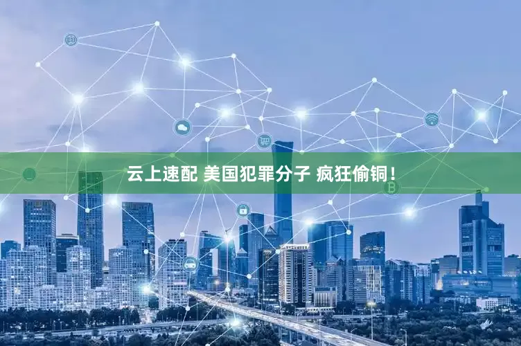 云上速配 美国犯罪分子 疯狂偷铜！