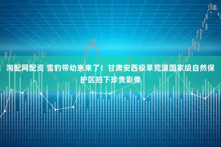 淘配网配资 雪豹带幼崽来了！甘肃安西极旱荒漠国家级自然保护区拍下珍贵影像
